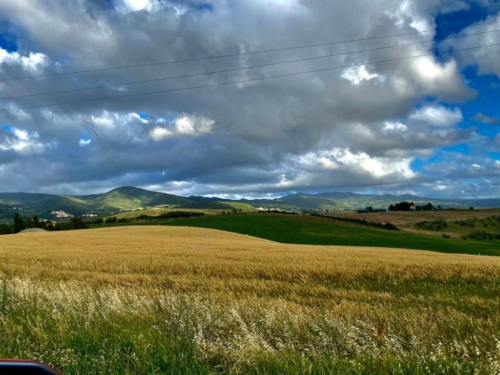 Podere Il Mulino Pieve di Santa Luce Εξωτερικό φωτογραφία