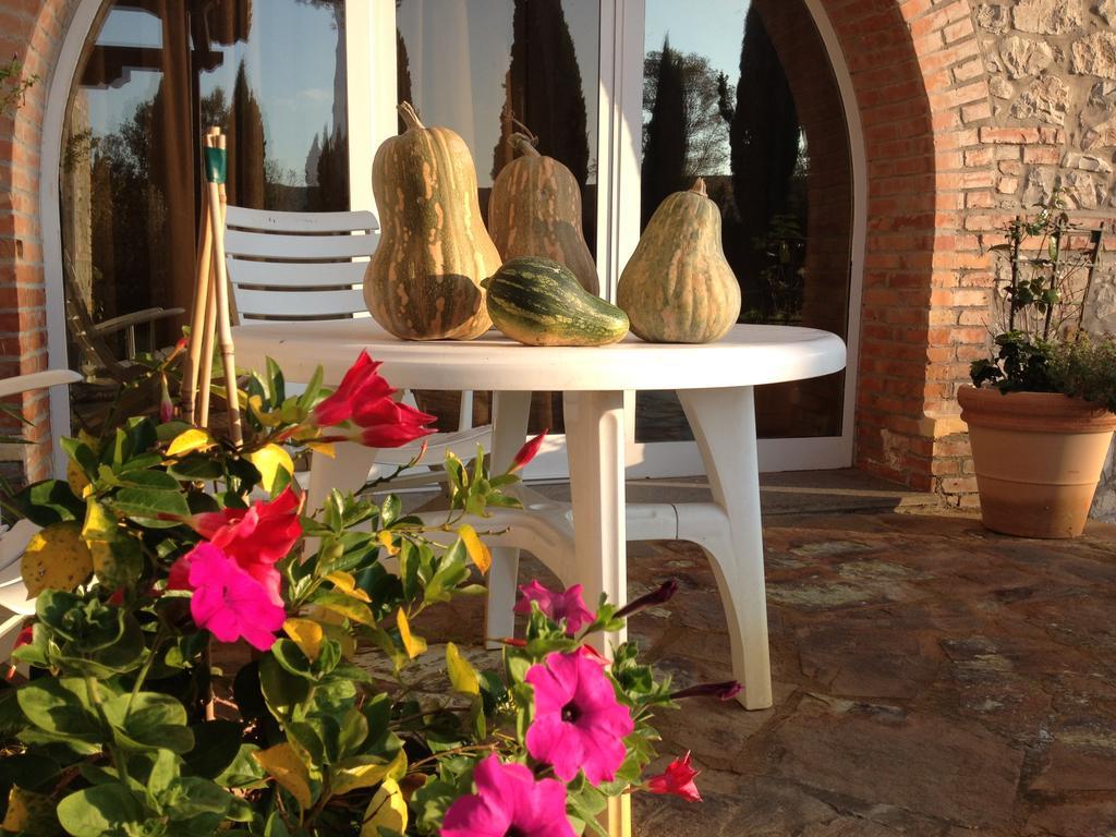 Podere Il Mulino Pieve di Santa Luce Εξωτερικό φωτογραφία
