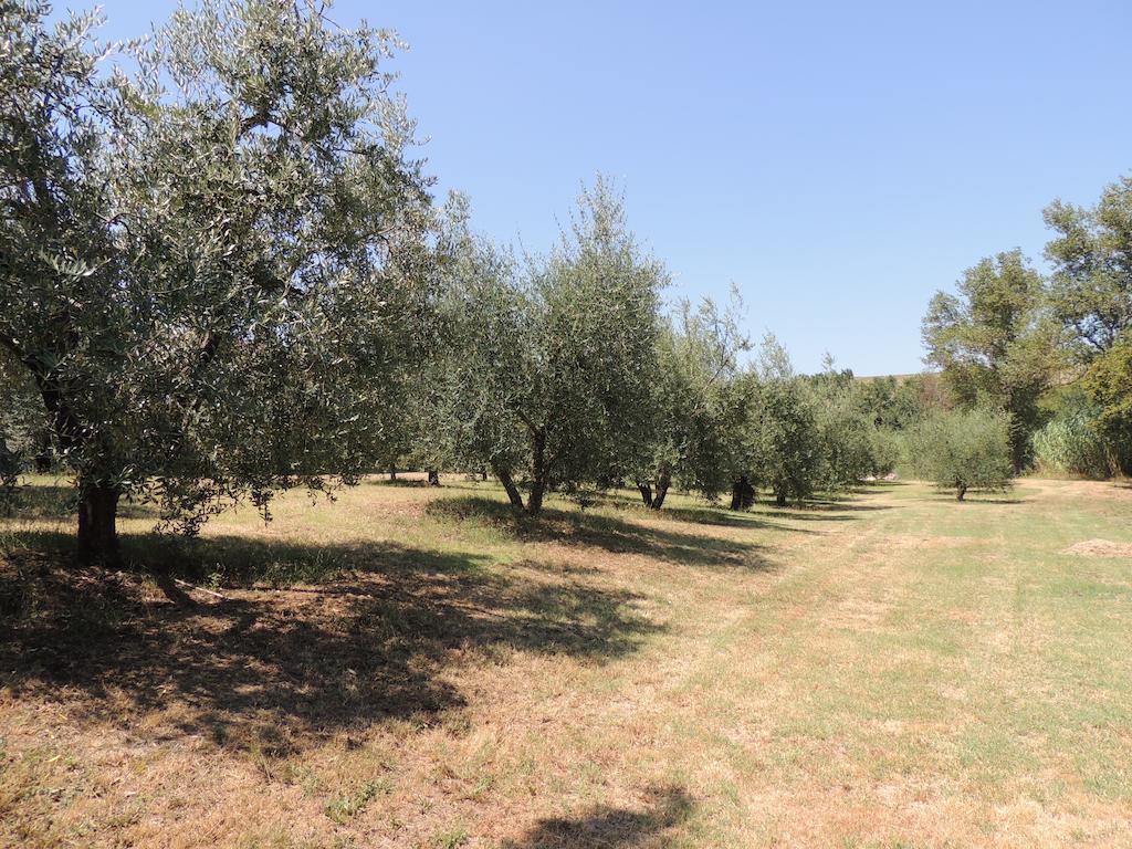 Podere Il Mulino Pieve di Santa Luce Εξωτερικό φωτογραφία